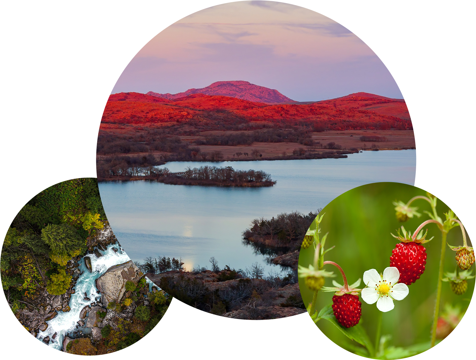 planning-evaluation-ripple-consulting-jennifer-hill-kelley